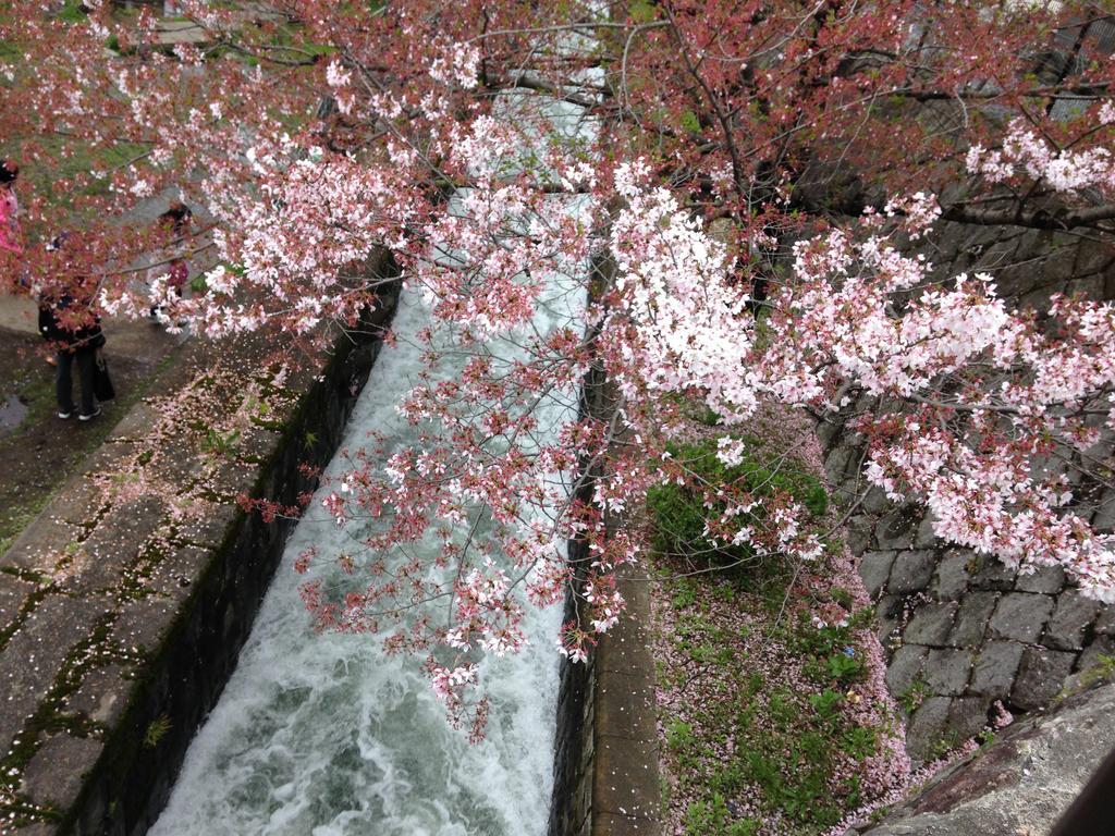 Yunokian Villa Kyoto Buitenkant foto